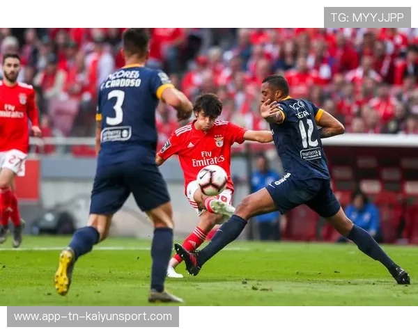 本菲卡—拉斐尔迅速插上突破造成混乱